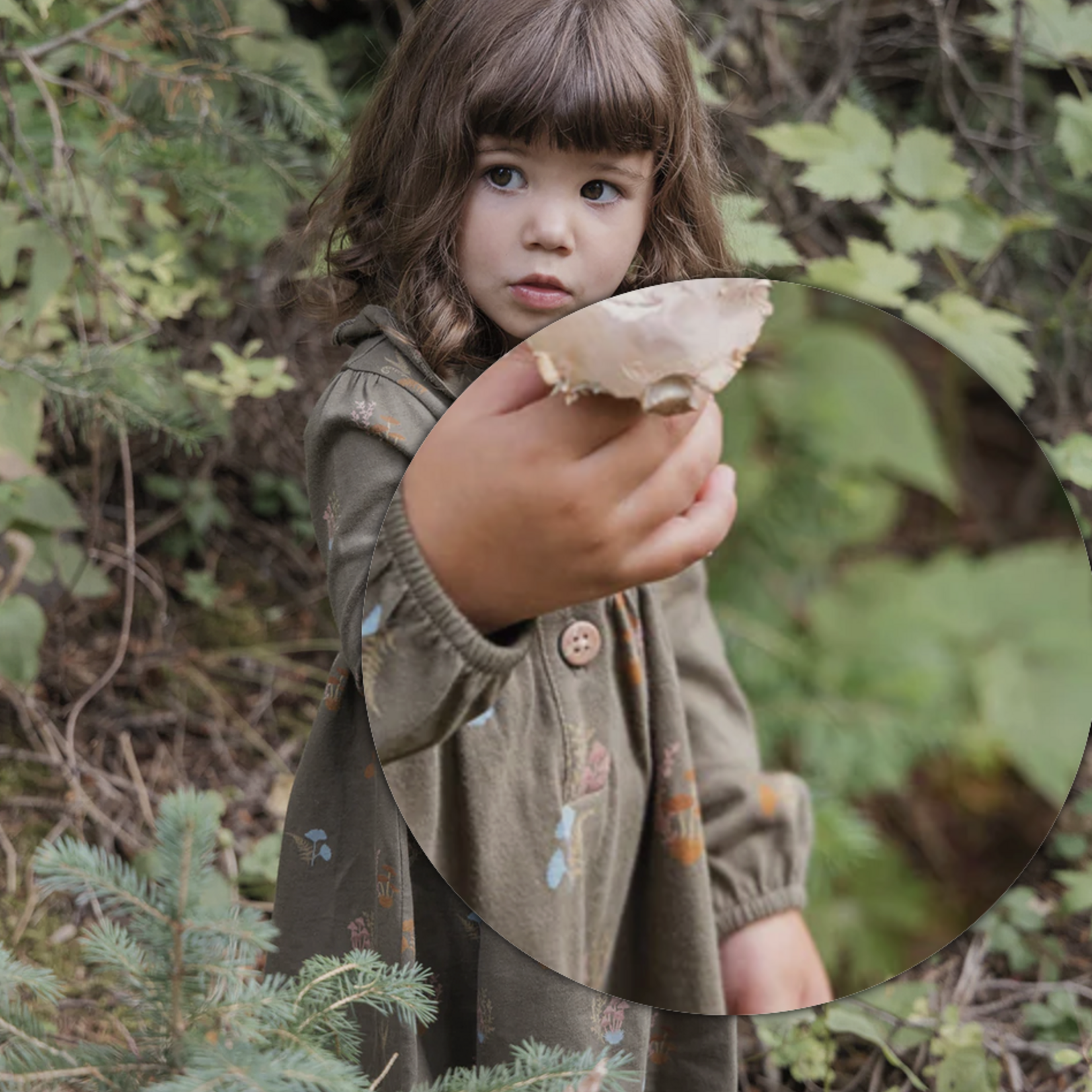 City Mouse Frill colar dress- jersey cotton- Lichen Mushrooms