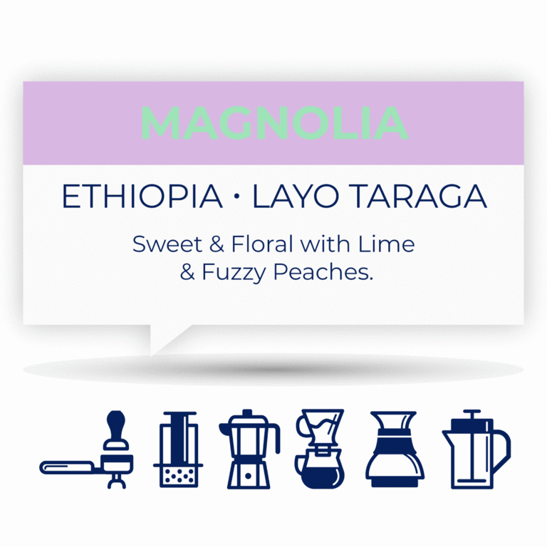 Quietly Coffee QUIETLY COFFEE - ETHIOPIA MAGNOLIA 340g