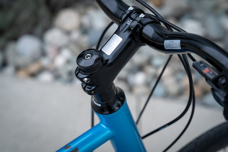 Brodie Brodie Omega Large