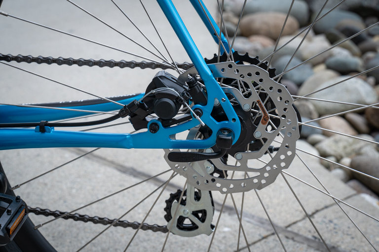 Brodie Brodie Omega Large