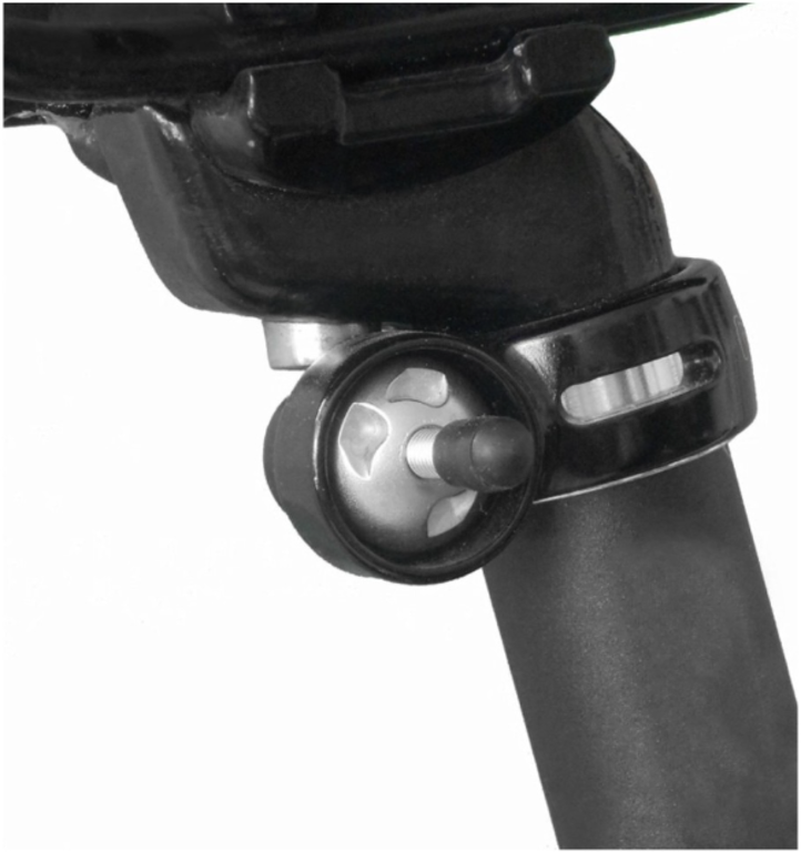 Pinhead Pinhead Seatpost or Saddle Lock with QR Key
