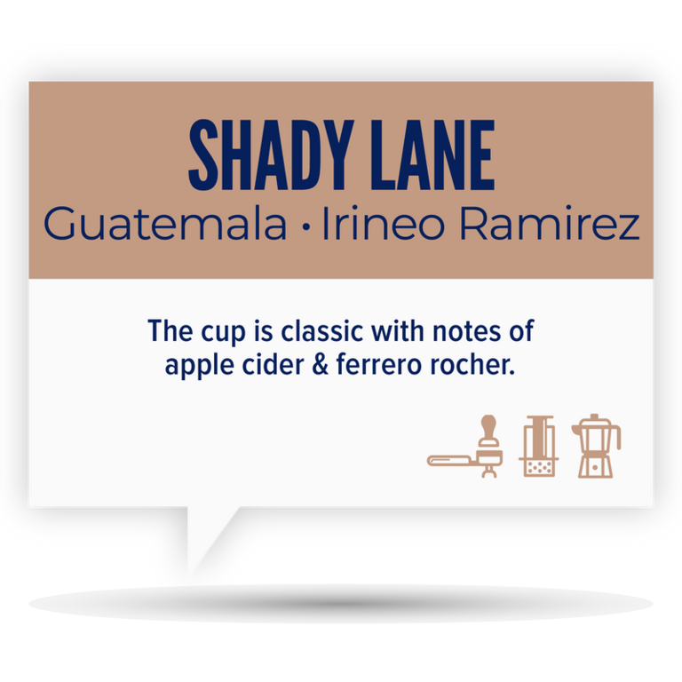 Quietly Coffee Quietly Coffee - Guatemala Shady Lane 340g