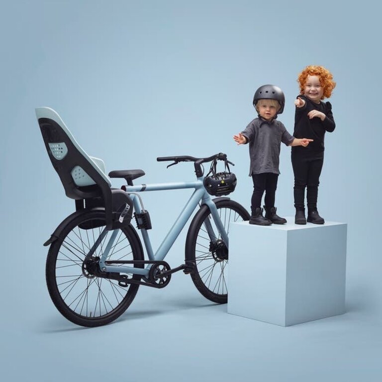 Thule Yepp 2 Maxi Frame Mount