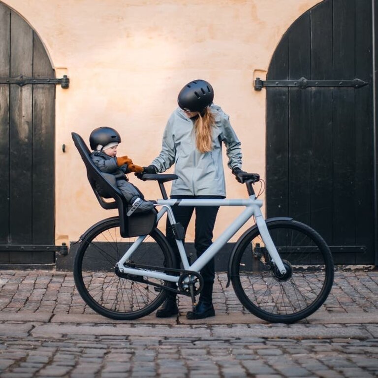Thule Yepp 2 Maxi Frame Mount