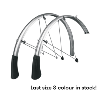 SKS SKS: Longboard (Silver, 700 x 50)