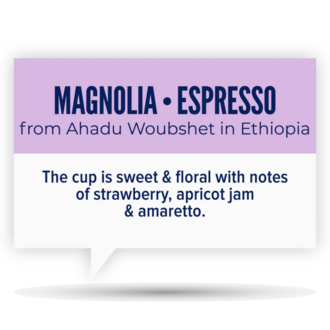 Quietly Coffee Ethiopia: Magnolia (340g)