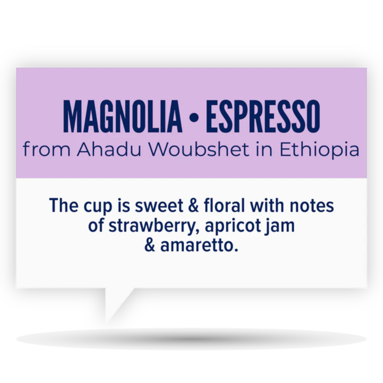 Quietly Coffee Quietly Coffee Ethiopia Magnolia  Coffee Bag (340g)