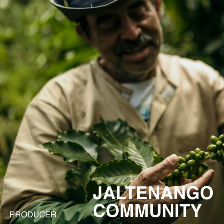 Java Roasters Java Roasters Mexico Jaltenango Coffee 300g