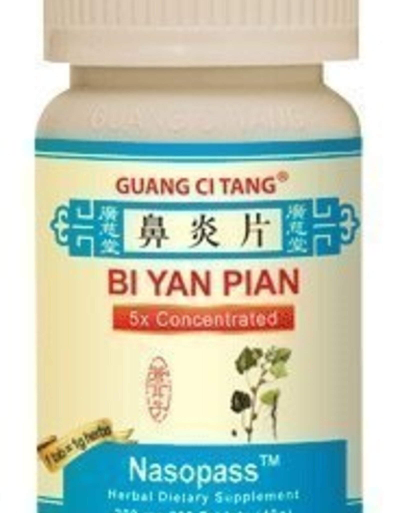 ActiveHerb Bi Yan Pian - NasoPass