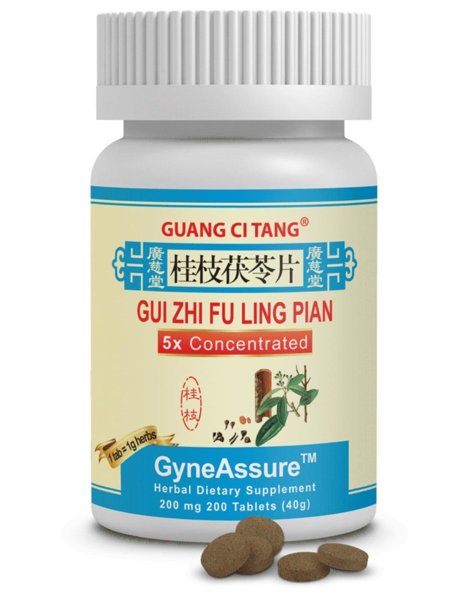 Guang Ci Tang Gui Zhi Fu Ling Pian - GyneAssure