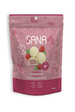 Sana Sana Chocolate Protein Bites - White Raspberry