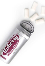 Gerrit Gum Tube Teaberry  (20 pc)