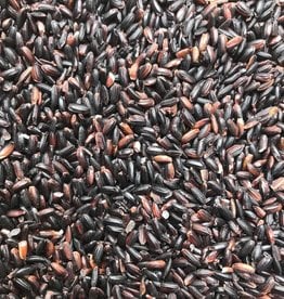 Two Brooks Farm Sable Long Grain Black Rice