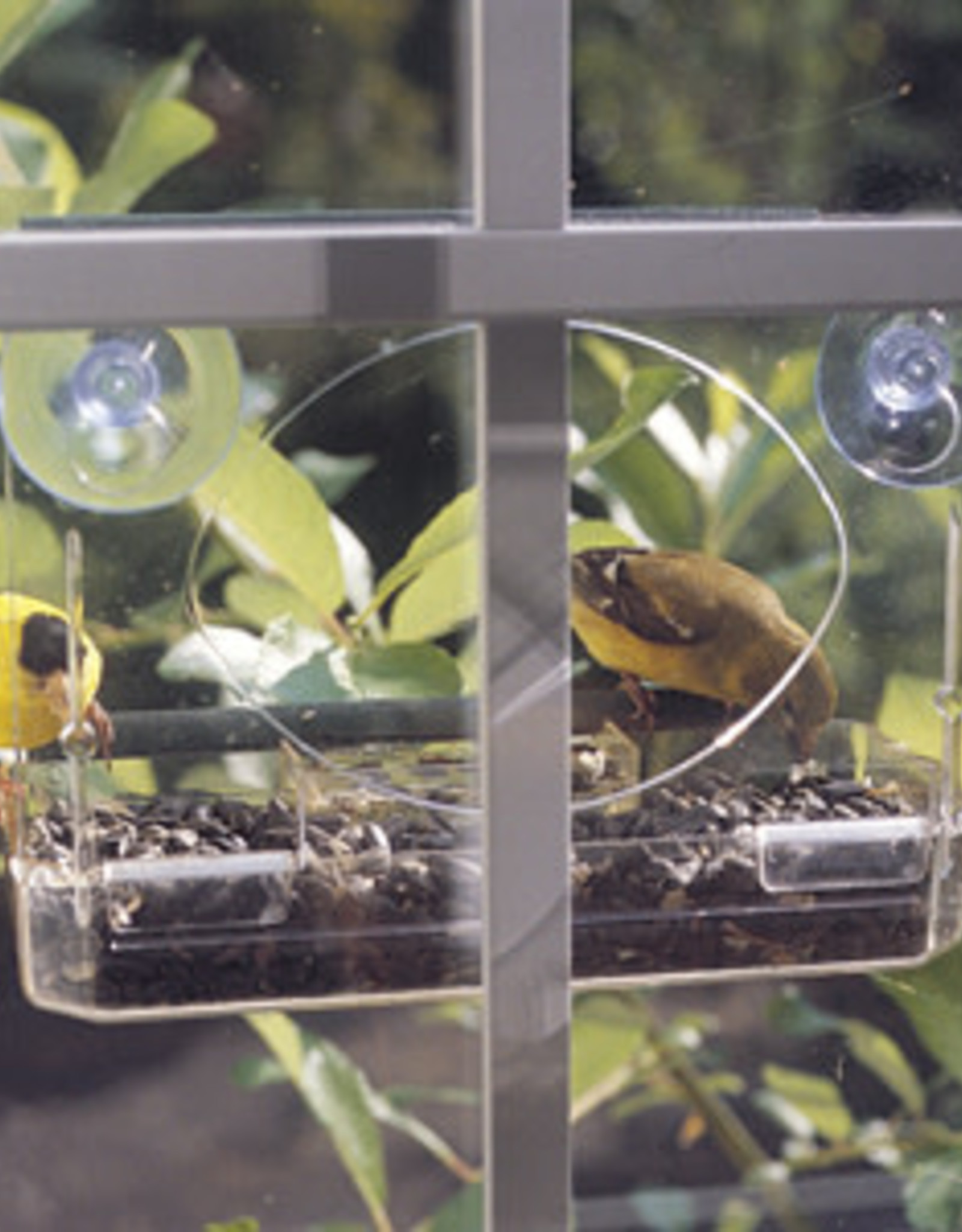 Meripac Window Bird Feeder