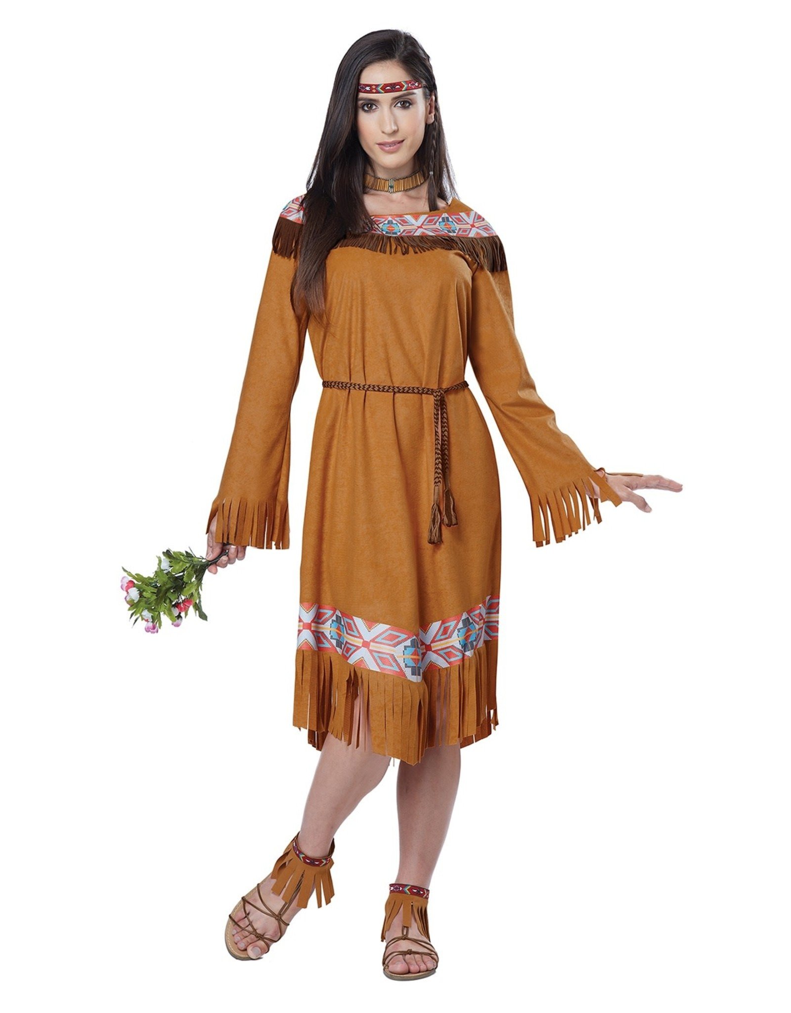 California Costume Collections Classic Indian Maiden, Brown, MEDIUM