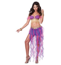 California Costume Collections Gypsy Dancer