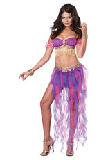 California Costume Collections Gypsy Dancer
