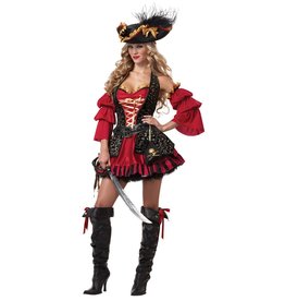 California Costume Collections Spanish Pirate, Medium