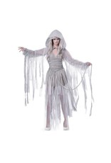 California Costume Collections HAUNTING BEAUTY/ADULT