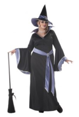 California Costume Collections INCANTASIA, THE GLAMOUR WITCH/ADULT