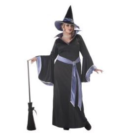 California Costume Collections INCANTASIA, THE GLAMOUR WITCH / PLUS