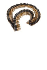 60" Molded Bullet Belt