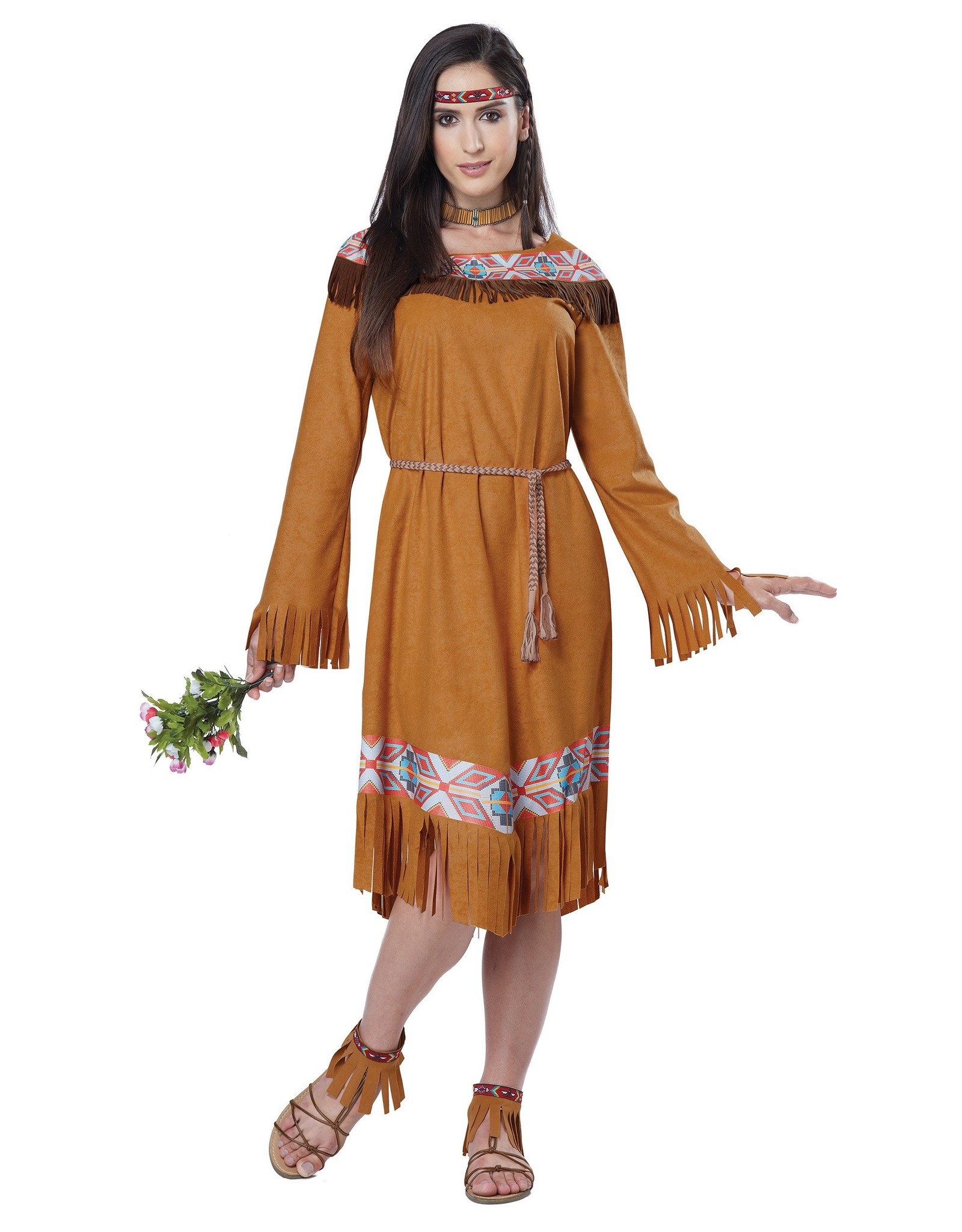 California Costume Collections Classic Indian Maiden, Brown LARGE