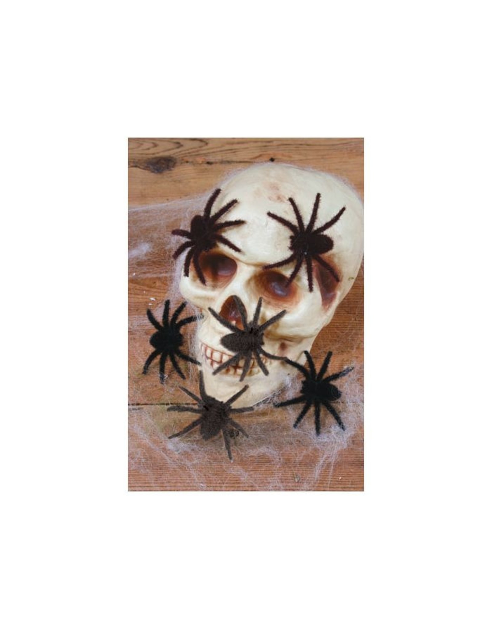 Fun World Hairy Spiders