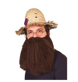 Rubie's Costumes 14Inch Beard And Stache, Brown, Adult