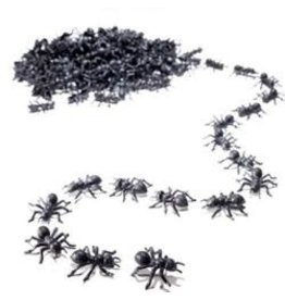 Sunstar Ind. Ants (100), Black