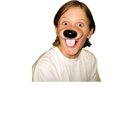 Rubie's Costumes Cute Creatures Nose Puppy