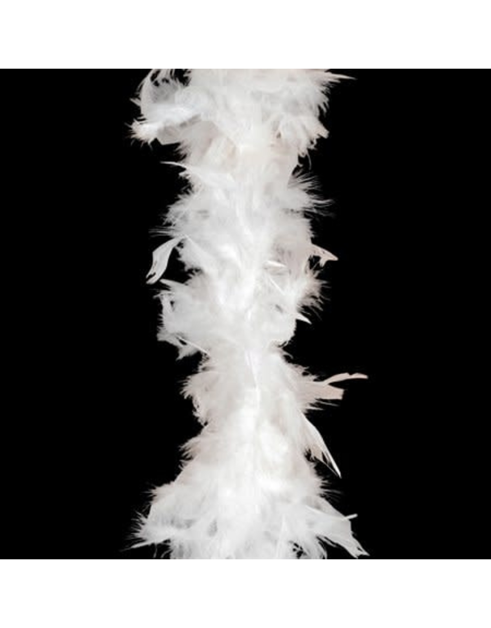 6 FT WHITE BOA