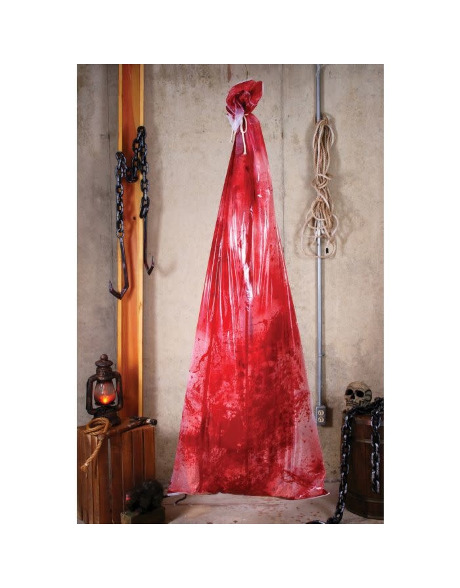 Bloody Body in Bag