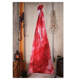 Bloody Body in Bag