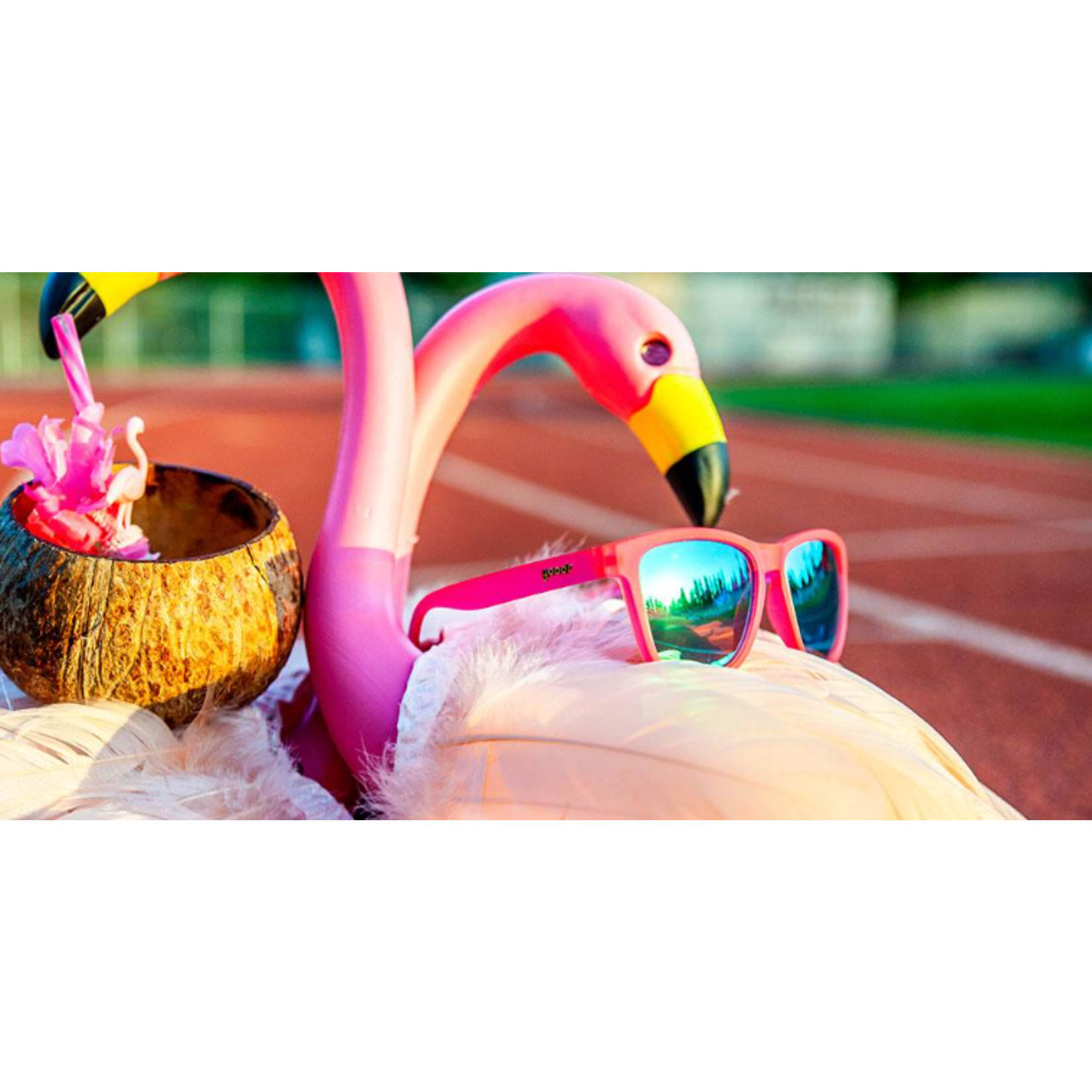 Goodr Sunglasses, Flamingos on a booze cruise
