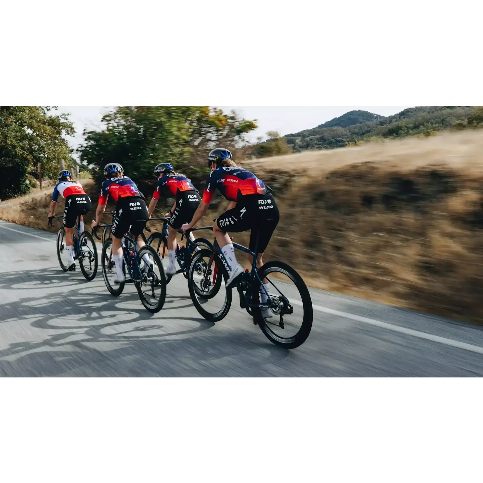 Specialized Tarmac SL8 Team Replica FDJ