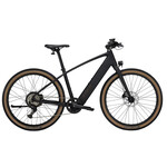 Trek 2026 FX+ 1