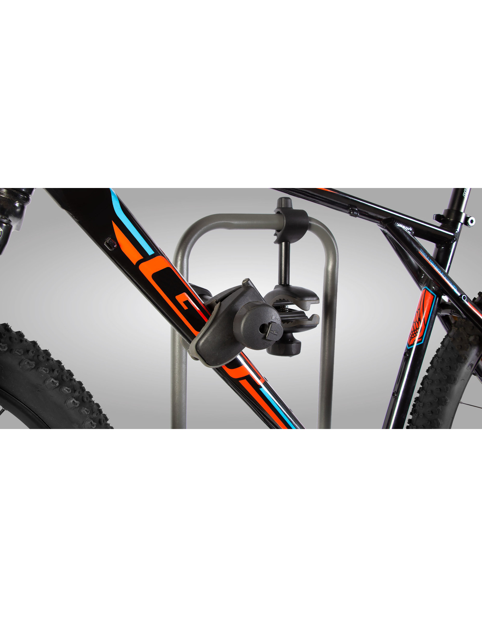 Buzz Rack E-HORNET H2 (2 Vélos Électriques)