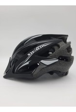Stealth Mat Black - Silver Helmet