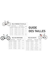 Vélo de ville usagé Supercycle 18'' - 11997