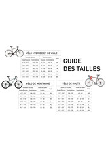 Vélo de route usagé Raleigh 23'' - 13151