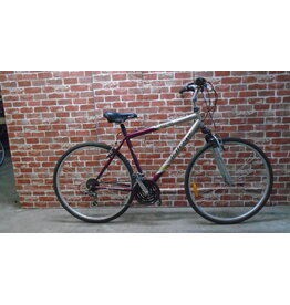 Vélo hybride usagé Raleigh 20" - 13516