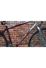 Vélo hybride usagé Giant 19" - 13745