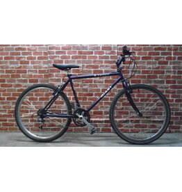 Vélo hybride usagé Giant 19" - 13801