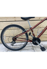 Vélo de ville usagé Globe 14'' - 13916