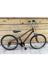 Vélo de ville usagé Globe 14'' - 13916