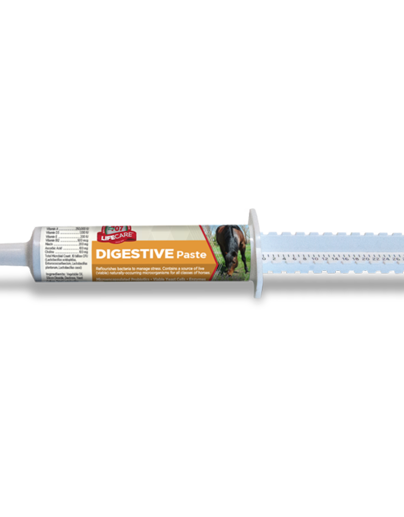 Formula 707 DIGESTIVE HEALTH (Paste)