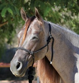 Professional's Choice Halter Rope with 10' Lead