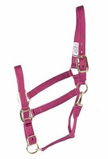 Guardian Guardian 3-Ply Nylon Halter w/Adj chin