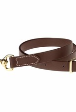 MARTIN 1" Chocolate Biothane Tie Down Strap